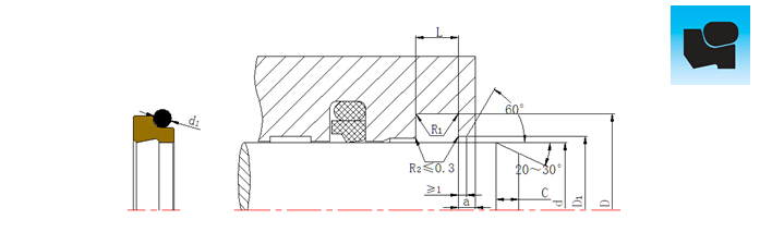 DSZ組合防塵圈切面結(jié)構(gòu)設(shè)計平面圖.jpg DSZ組合防塵圈切面結(jié)構(gòu)設(shè)計平面圖.jpg