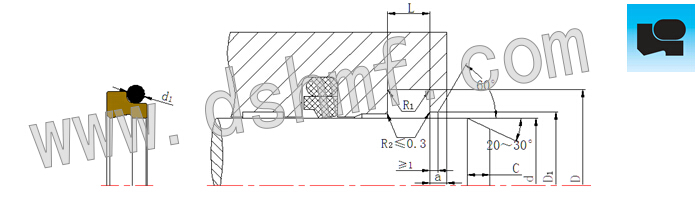 組合防塵圈DSZL結(jié)構(gòu)切面和 組合防塵圈DSZL結(jié)構(gòu)切面和