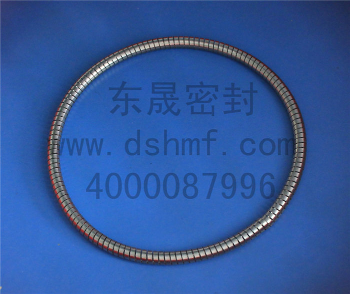 泛塞封彈簧 泛塞封彈簧