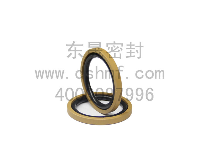 格萊圈密封件產(chǎn)品 格萊圈密封件產(chǎn)品