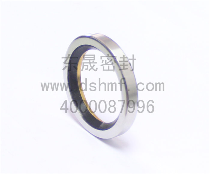 不銹鋼油封密封件產(chǎn)品 不銹鋼油封密封件產(chǎn)品