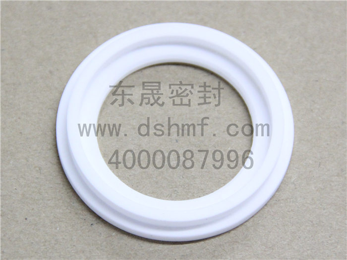 陶瓷密封件產(chǎn)品 陶瓷密封件產(chǎn)品