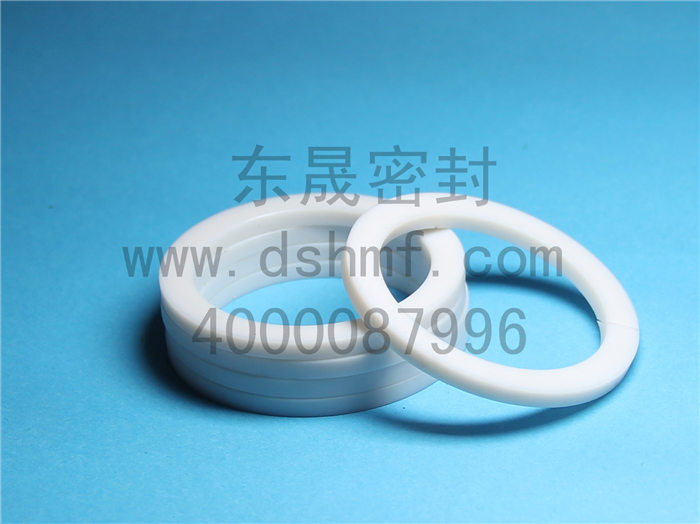 靜密封件產(chǎn)品，密封圈
