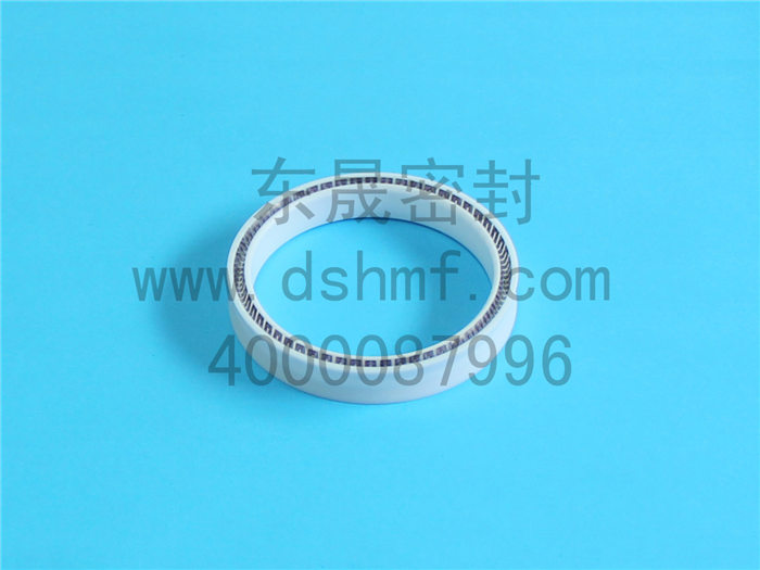 泛塞封，密封圈，密封件，產(chǎn)品