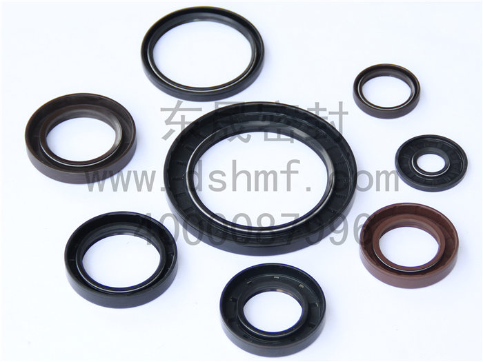 骨架油封,密封件產(chǎn)品 骨架油封,密封件產(chǎn)品