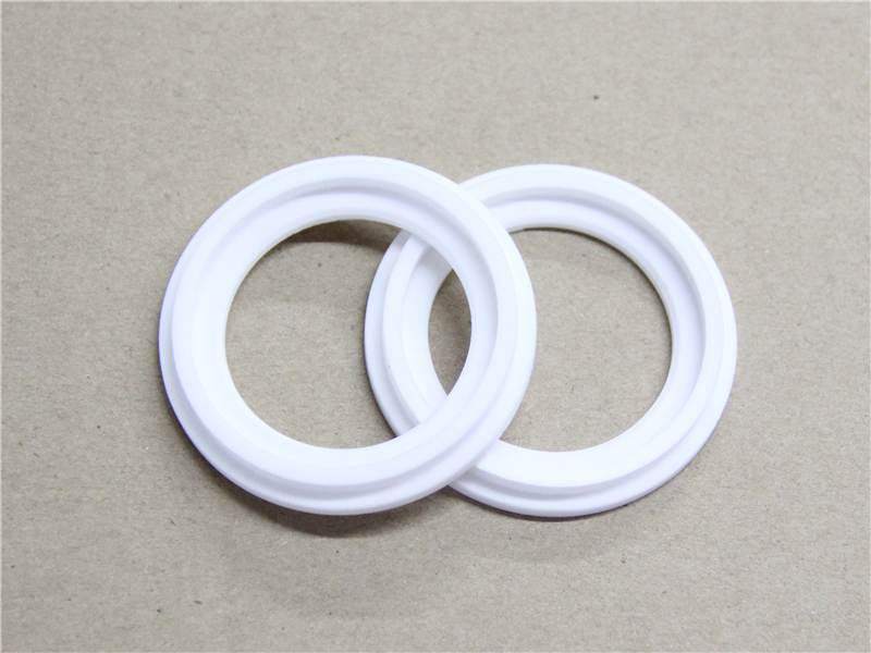 硬密封件，陶瓷密封件，產(chǎn)品
