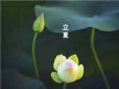 立夏已至，萬物向陽；